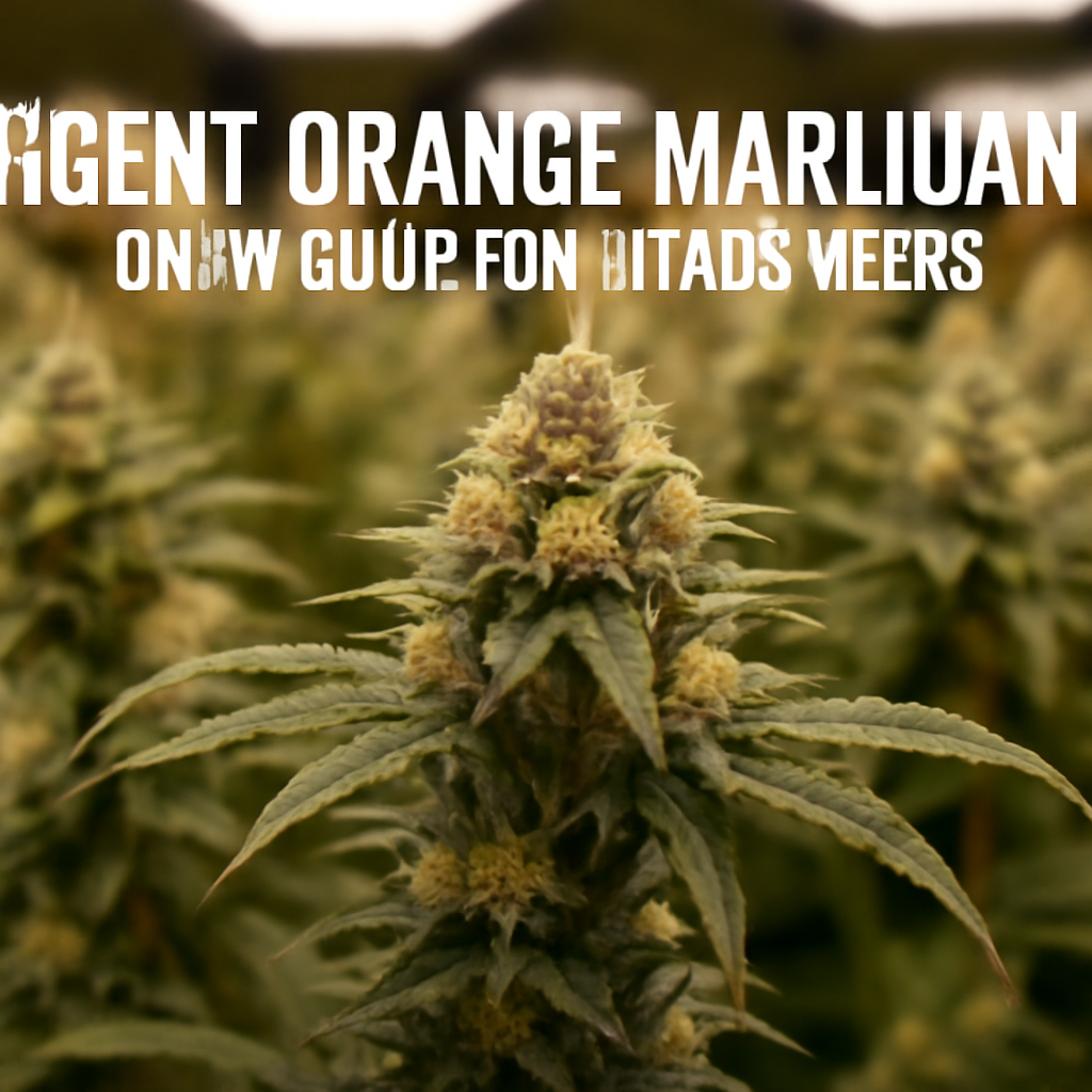 Agent Orange Marijuana: Grow Guide for Citrus Yields