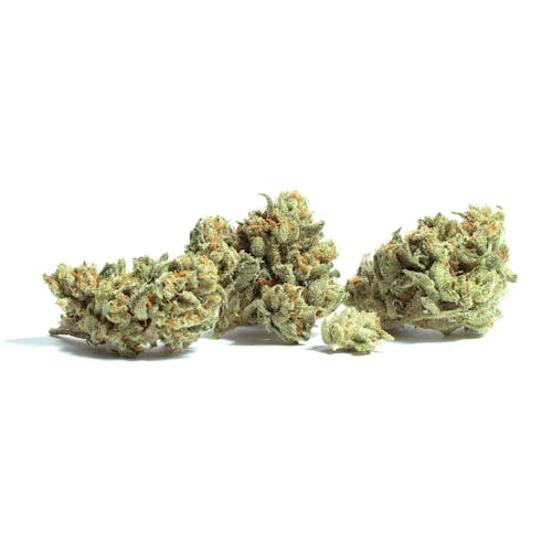Northern Light Auto