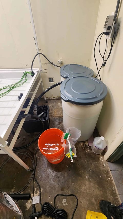 3rd run, 8 plant mom hunt - indoor top fed DTW with rockwool — grow_setup, day 1