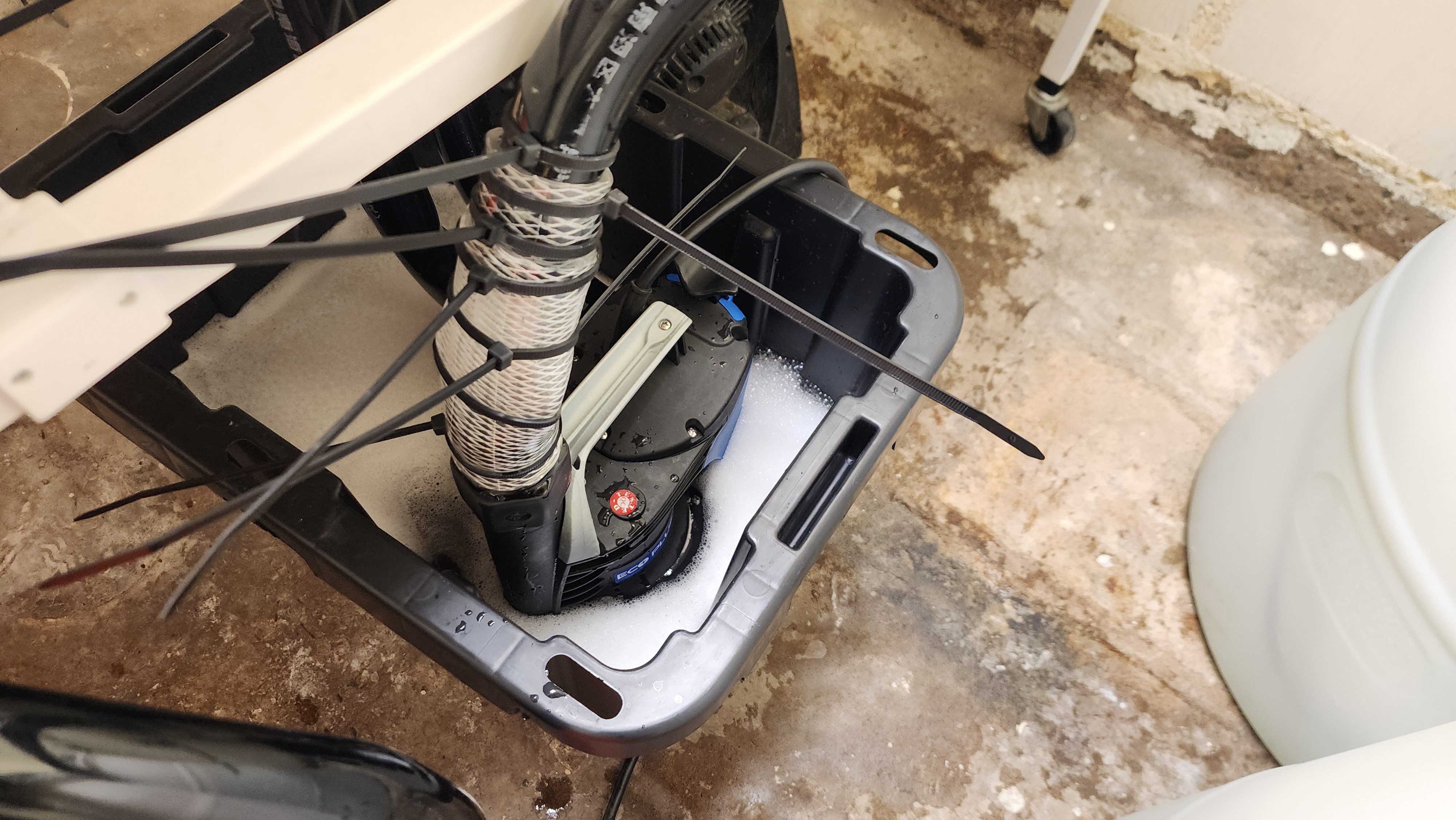 3rd run, 8 plant mom hunt - indoor top fed DTW with rockwool — grow_setup, day 1