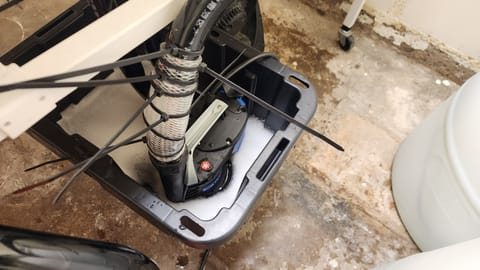 3rd run, 8 plant mom hunt - indoor top fed DTW with rockwool — grow_setup, day 1