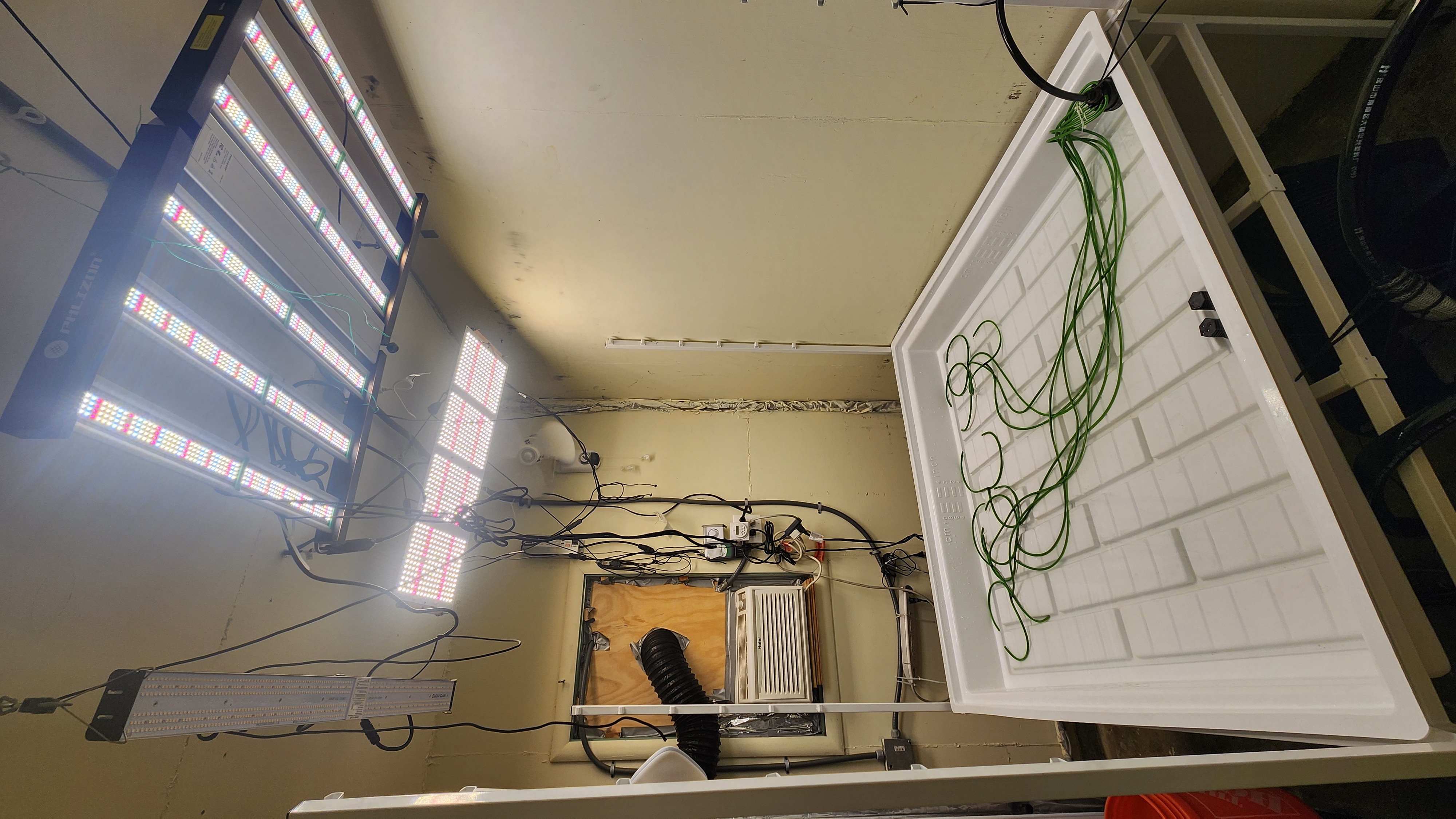 3rd run, 8 plant mom hunt - indoor top fed DTW with rockwool — grow_setup, day 1