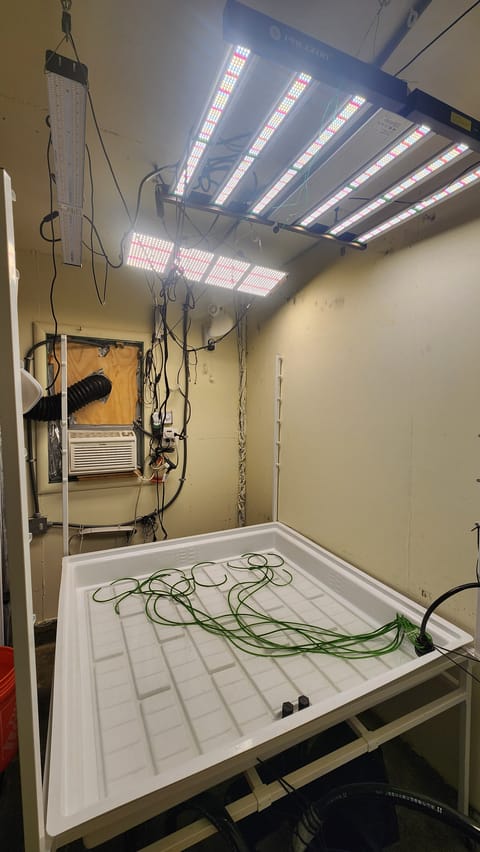 3rd run, 8 plant mom hunt - indoor top fed DTW with rockwool — grow_setup, day 1