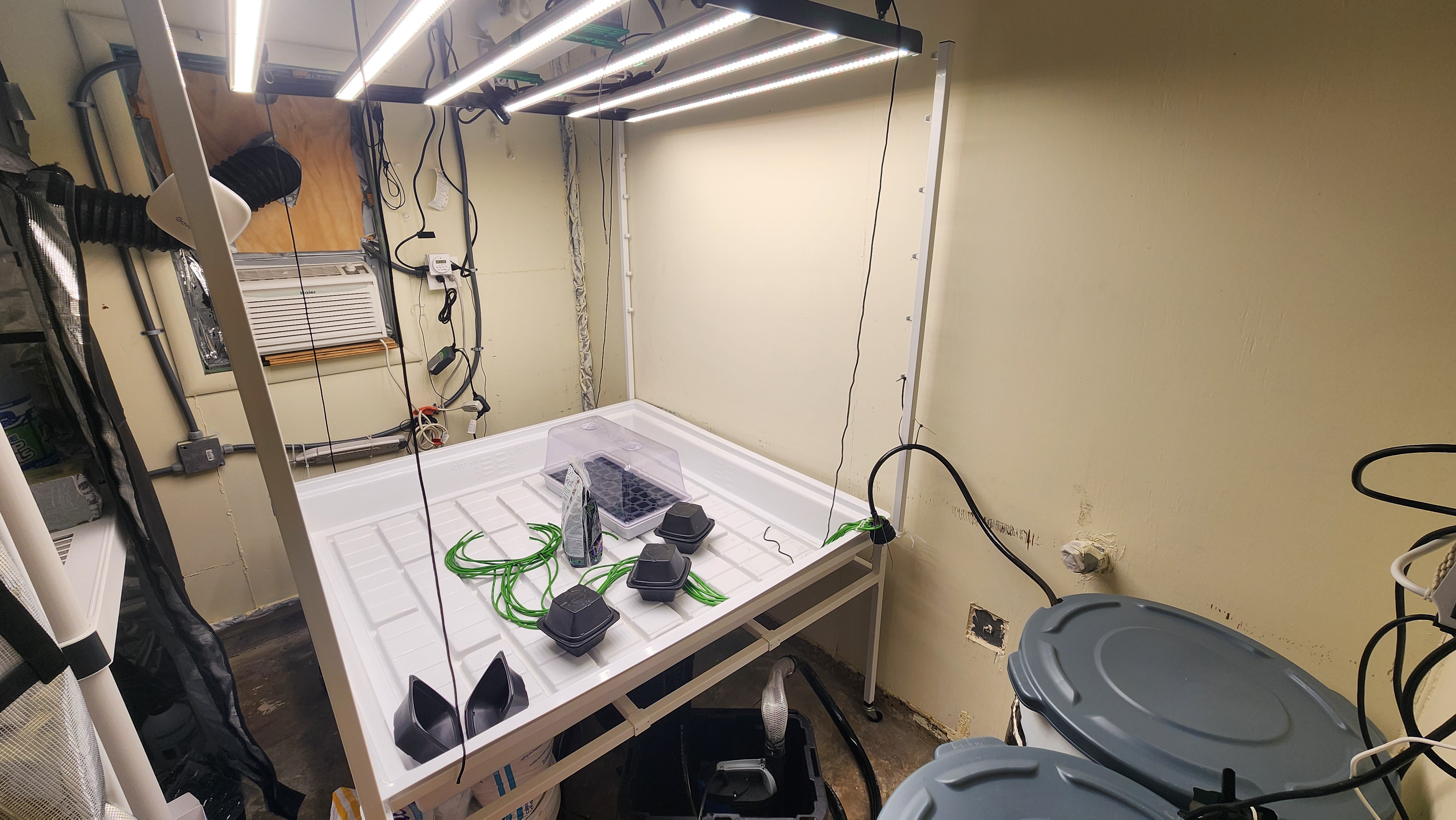 3rd run, 8 plant mom hunt - indoor top fed DTW with rockwool — grow_setup, day 22