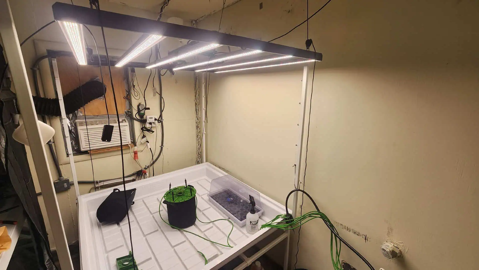 3rd run, 8 plant mom hunt - indoor top fed DTW with rockwool — vegetative, day 63