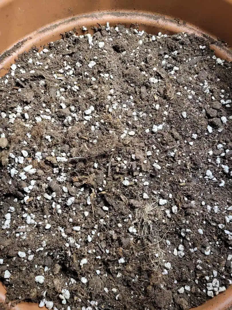 Fastbuds Mix Pack #9