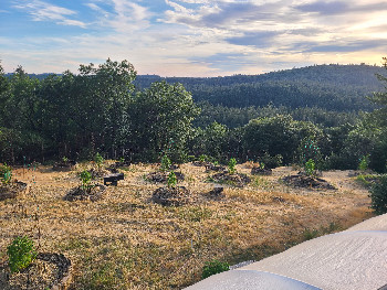 First Grow — vegetative, day 2