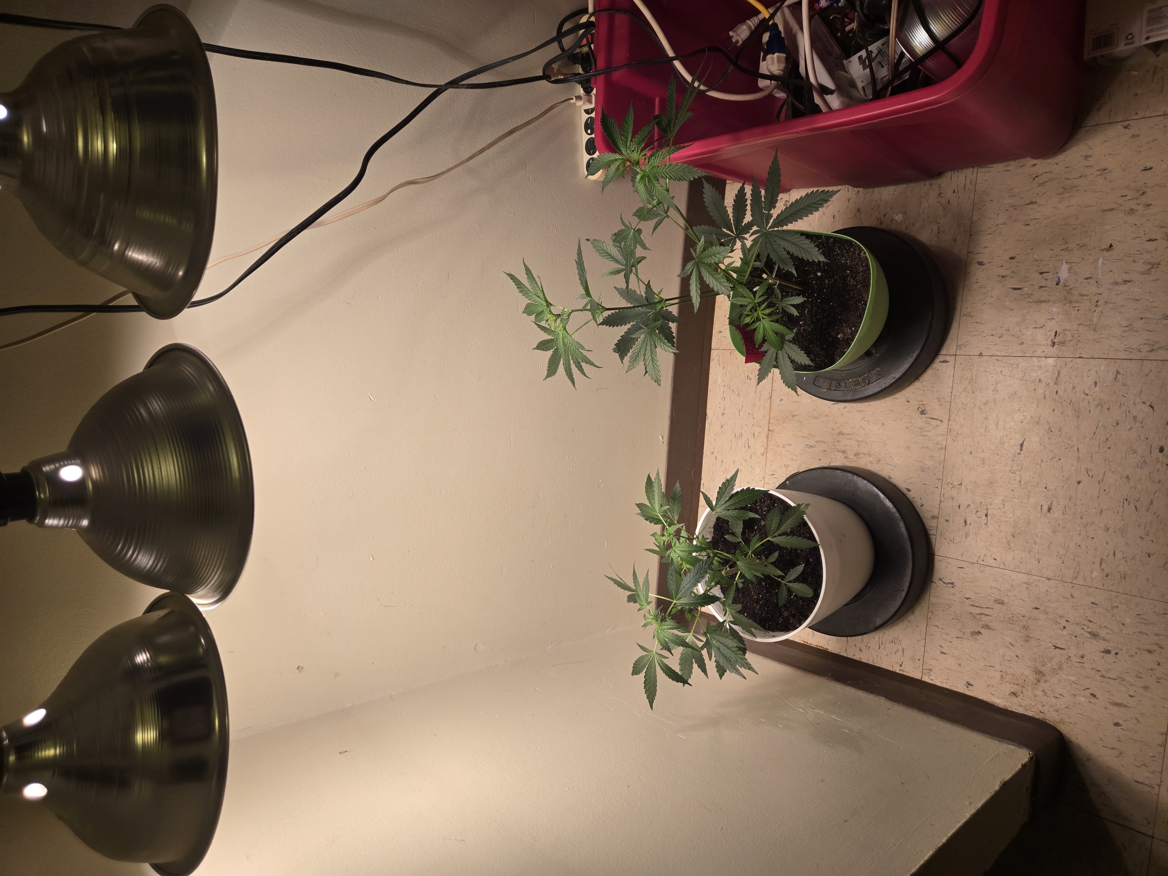 high octane x holy grail 