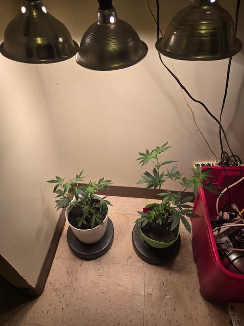 high octane x holy grail — auto, day 1