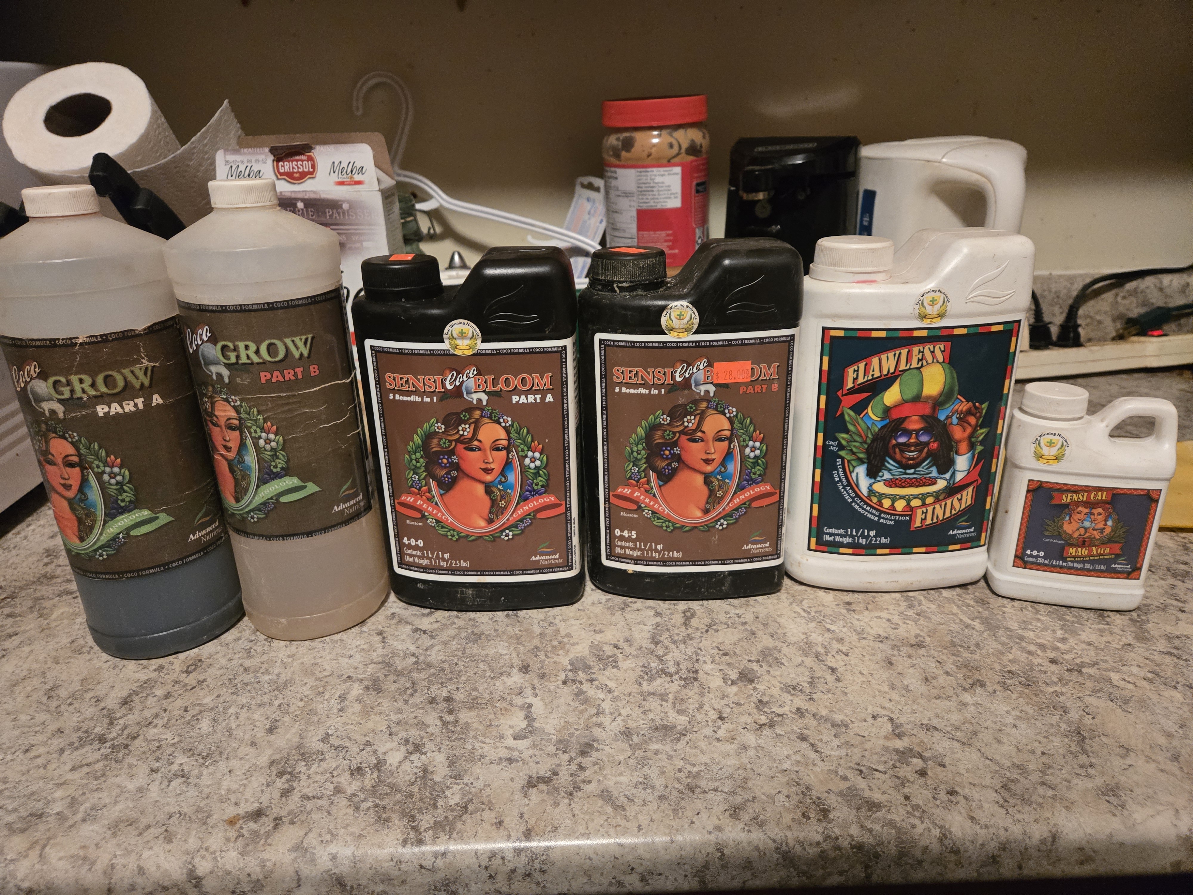 high octane x holy grail  — vegetative, day 4