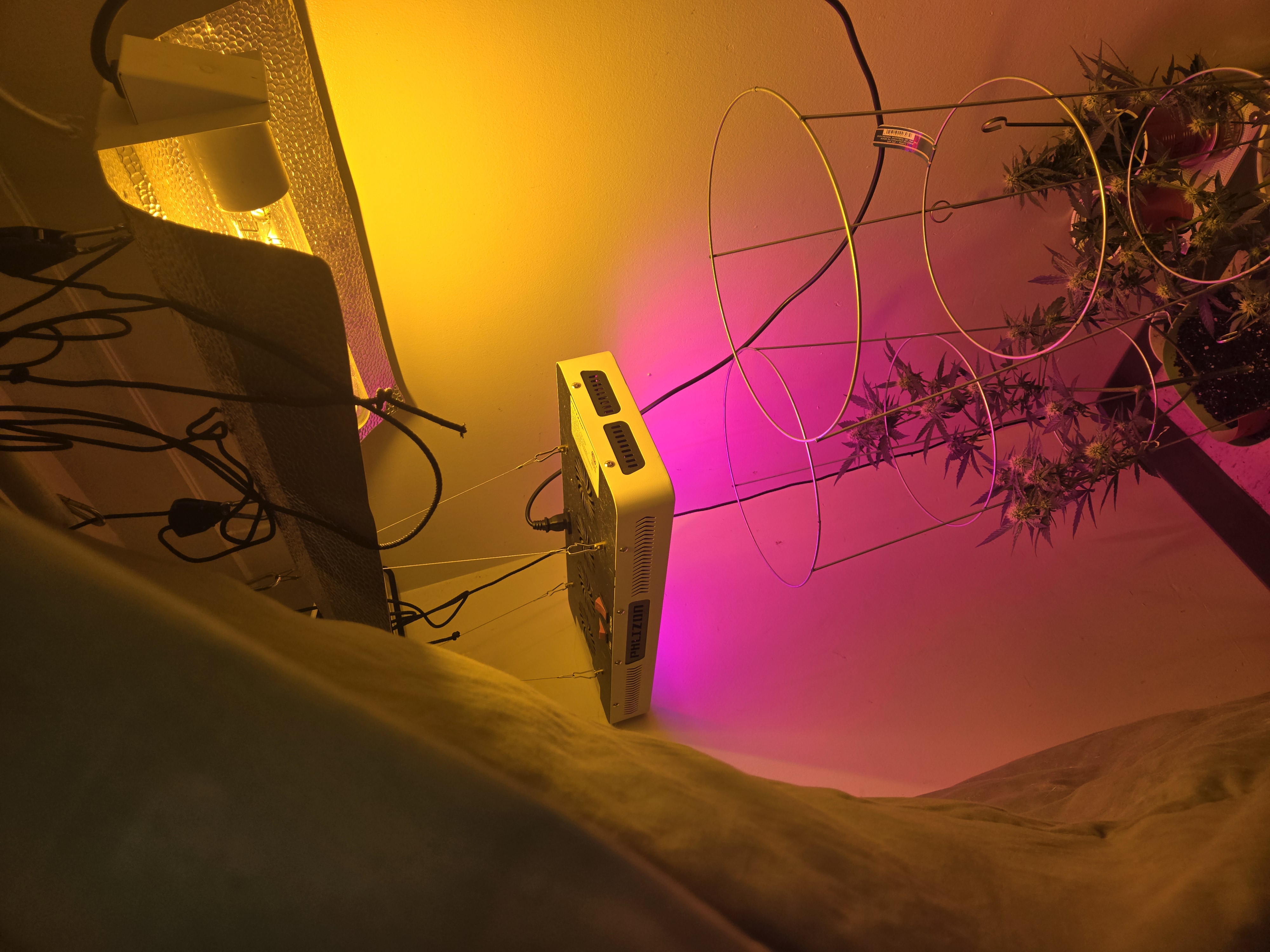 high octane x holy grail  — auto, day 16