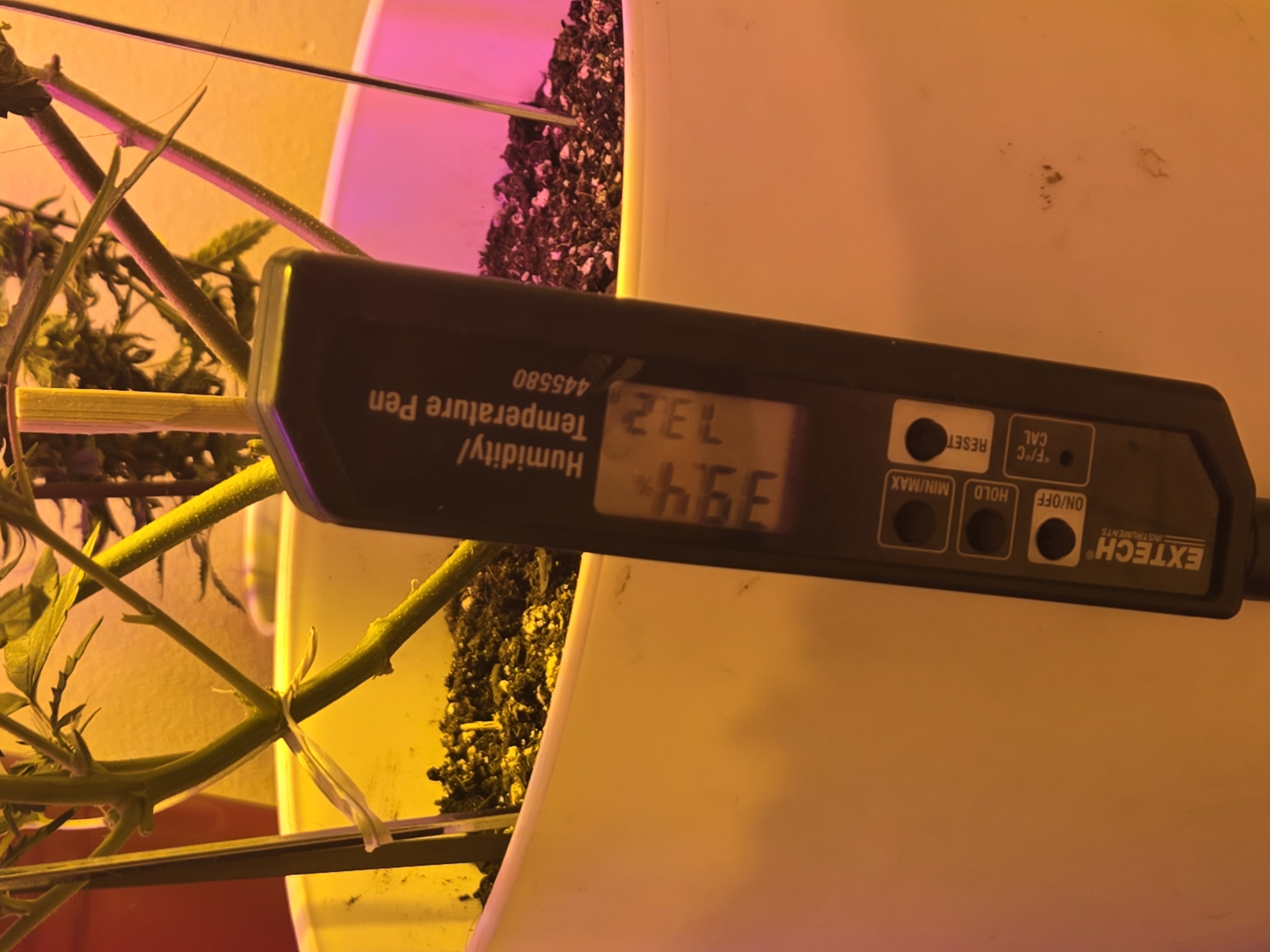 high octane x holy grail  — auto, day 19