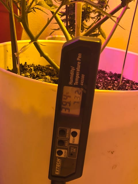 high octane x holy grail — auto, day 19