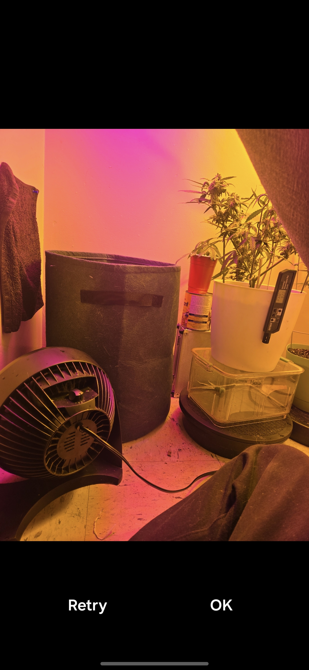 high octane x holy grail  — auto, day 20