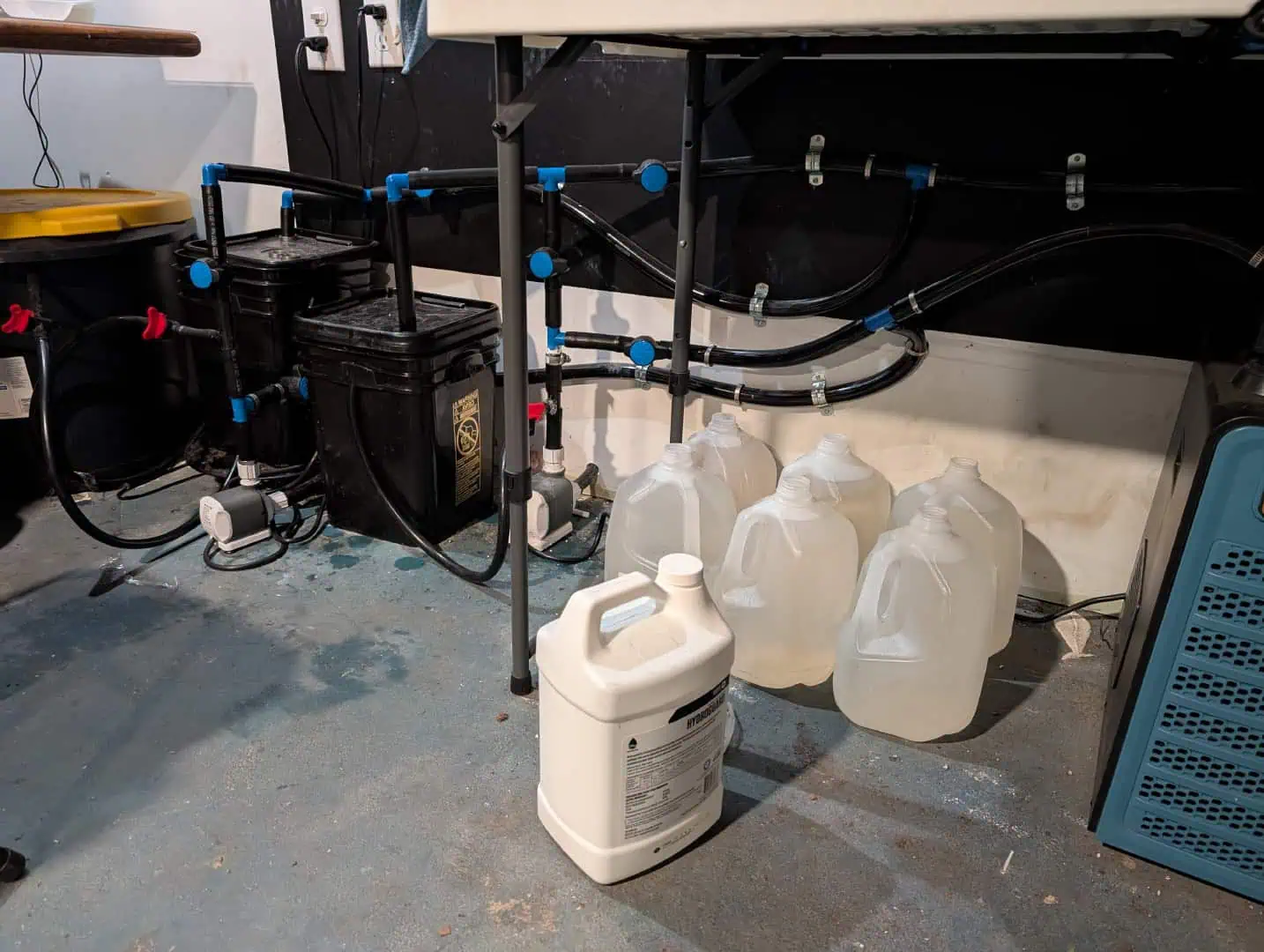 See what grows — vegetative, day 16