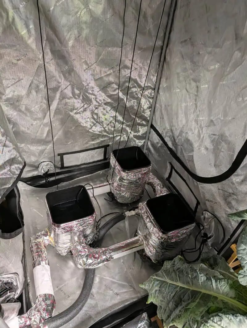 flipped to flower
