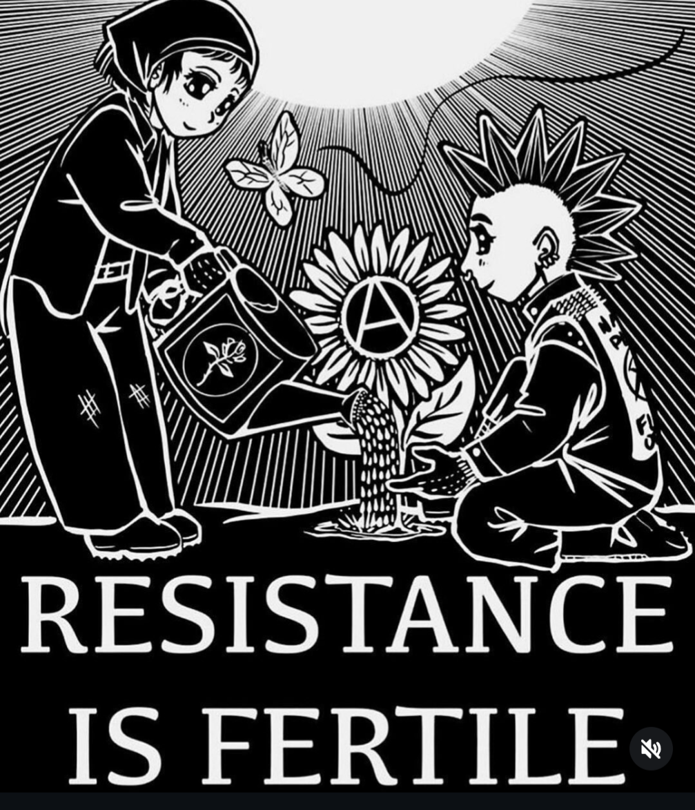 flipped to flower — flower, day 25