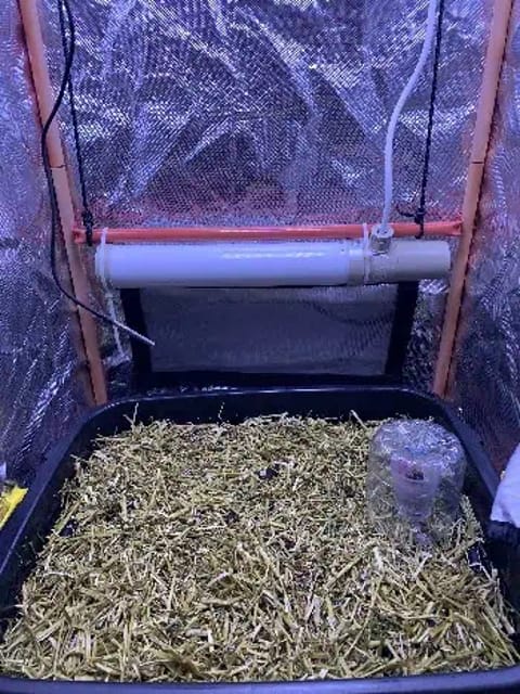 Little living soil grow #1 — grow_setup, day 1