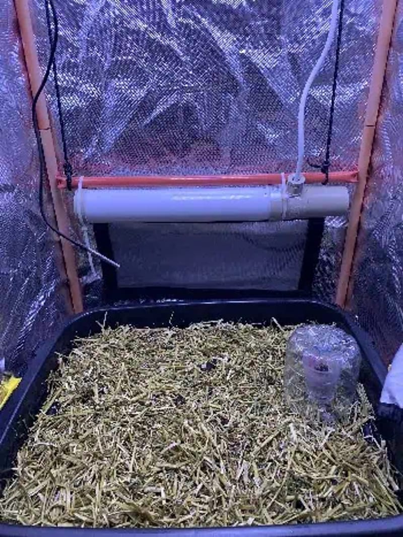 Little living soil grow #1