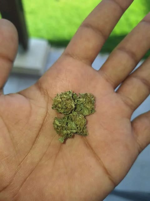 Light Fuck