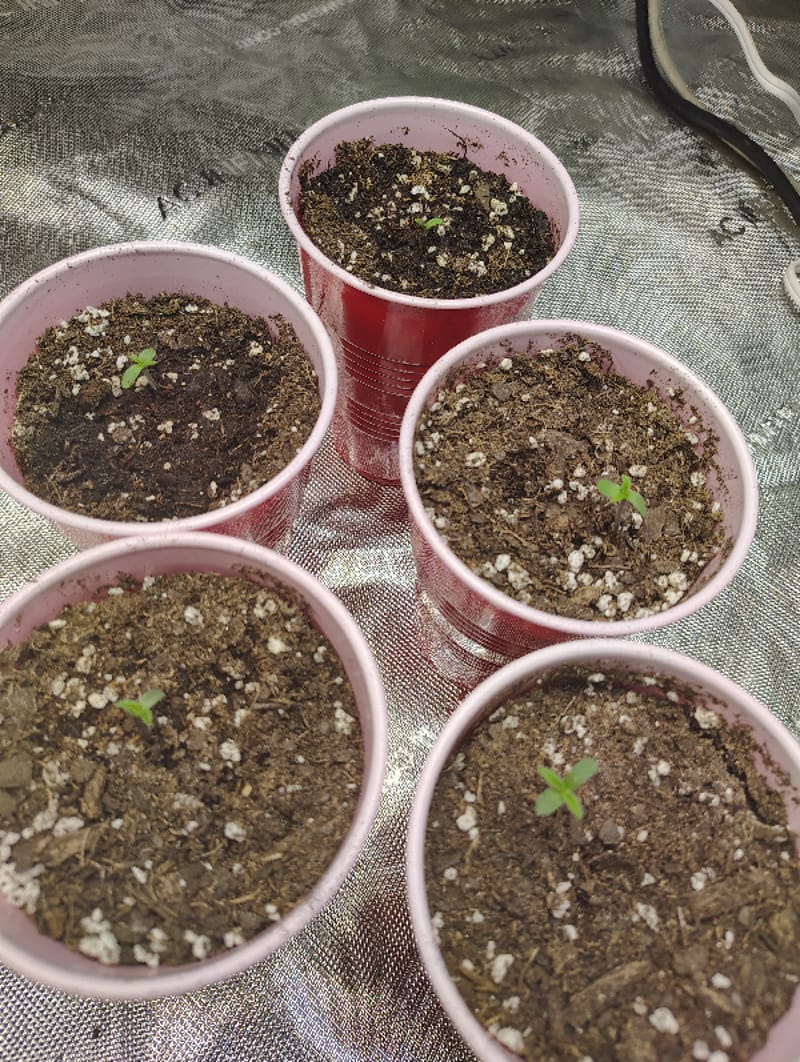 day 2 
