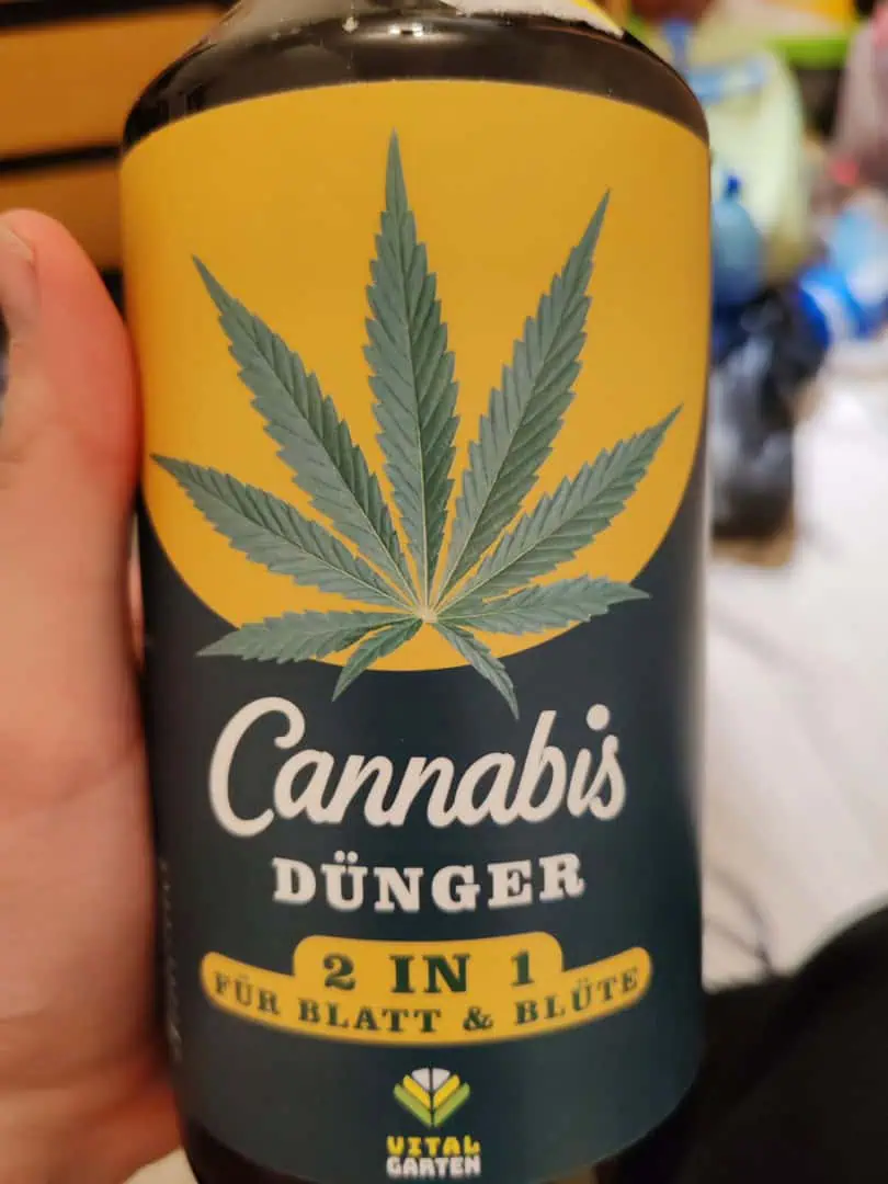 drawer grow forbidden fruit — vegetative, day 21