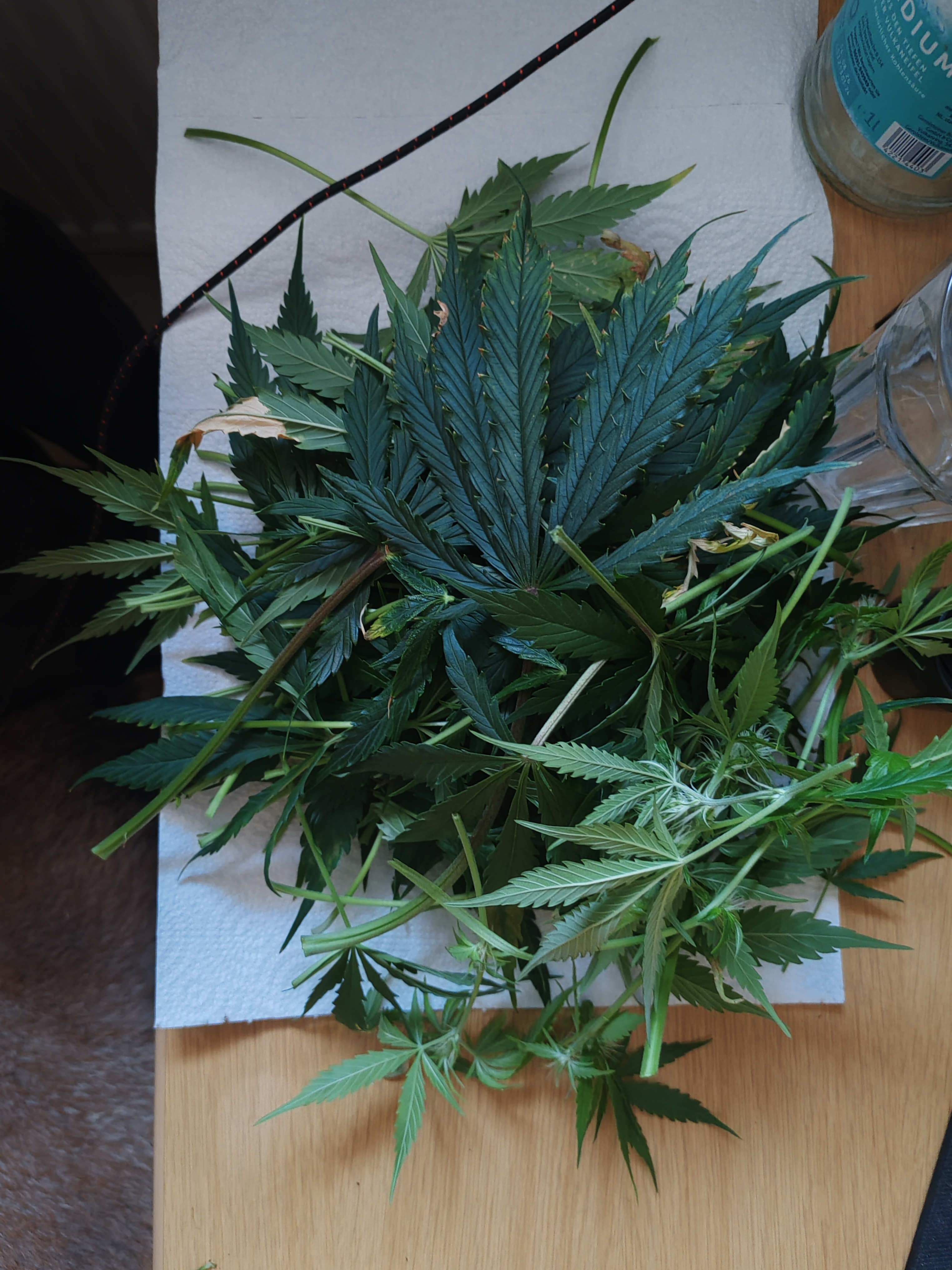 drawer grow forbidden fruit — flower, day 67