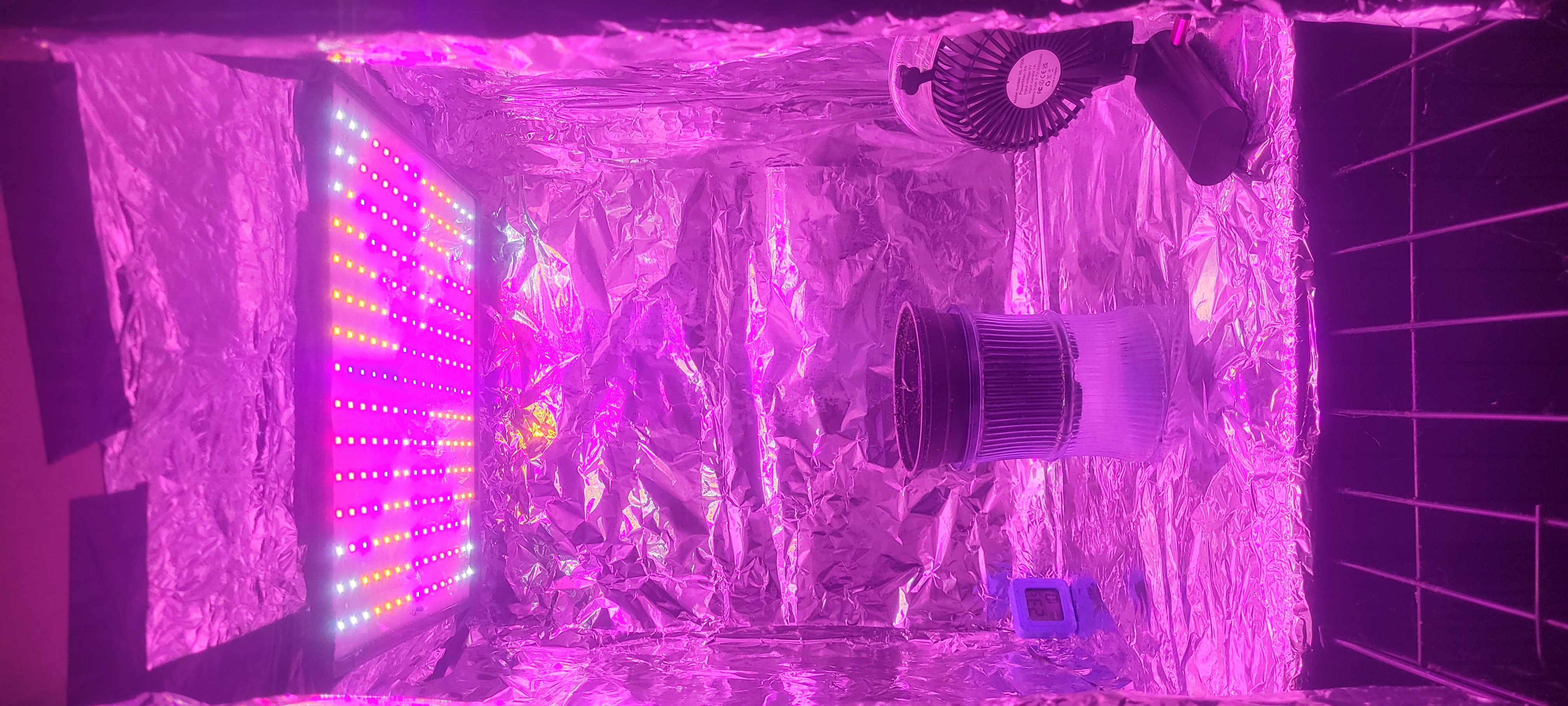 Little Grow Big Dream β germination, day 5