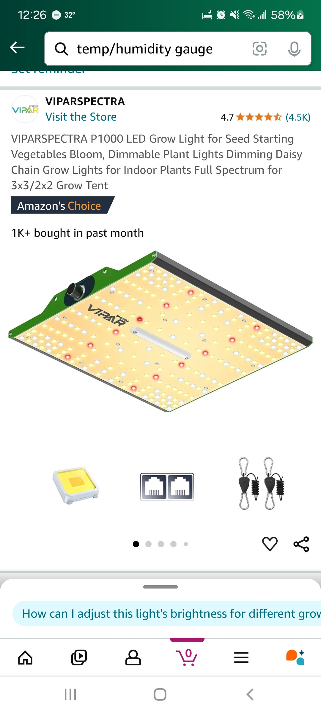 Little Grow Big Dream β germination, day 8