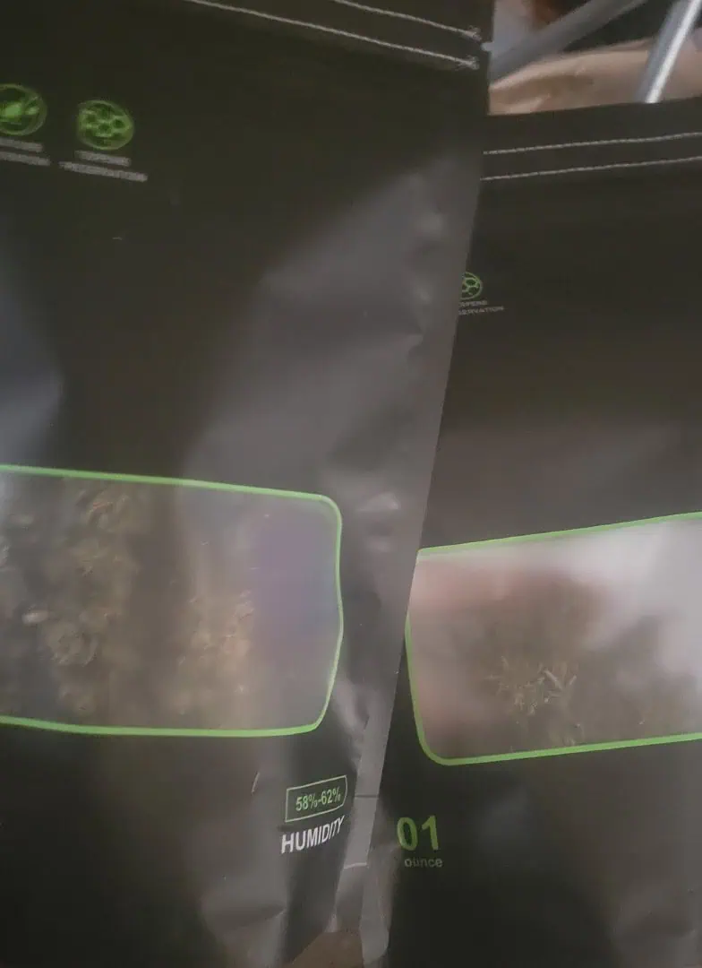 Little Grow Big Dream