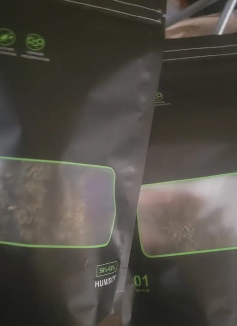 Little Grow Big Dream