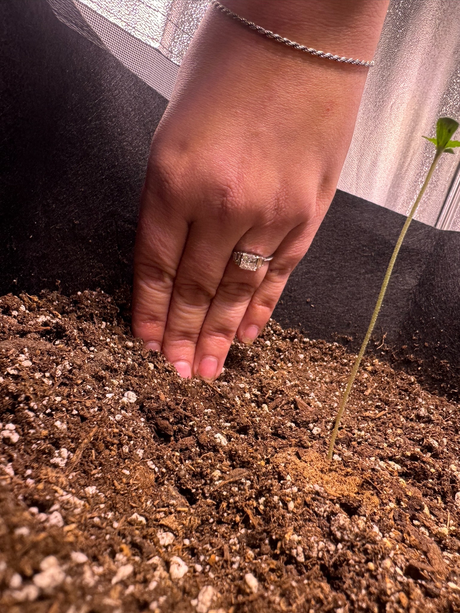 first time  — none, day 27