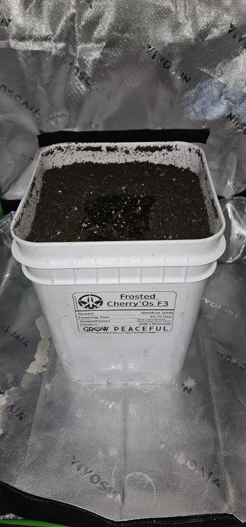 first grow  🌿 