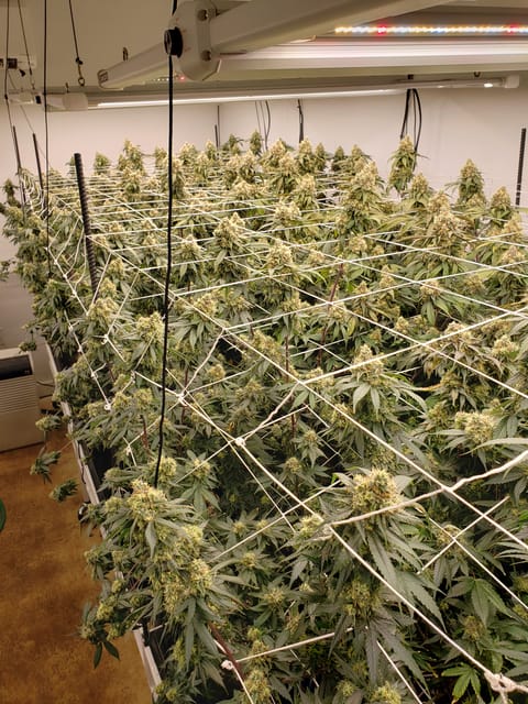 indoor