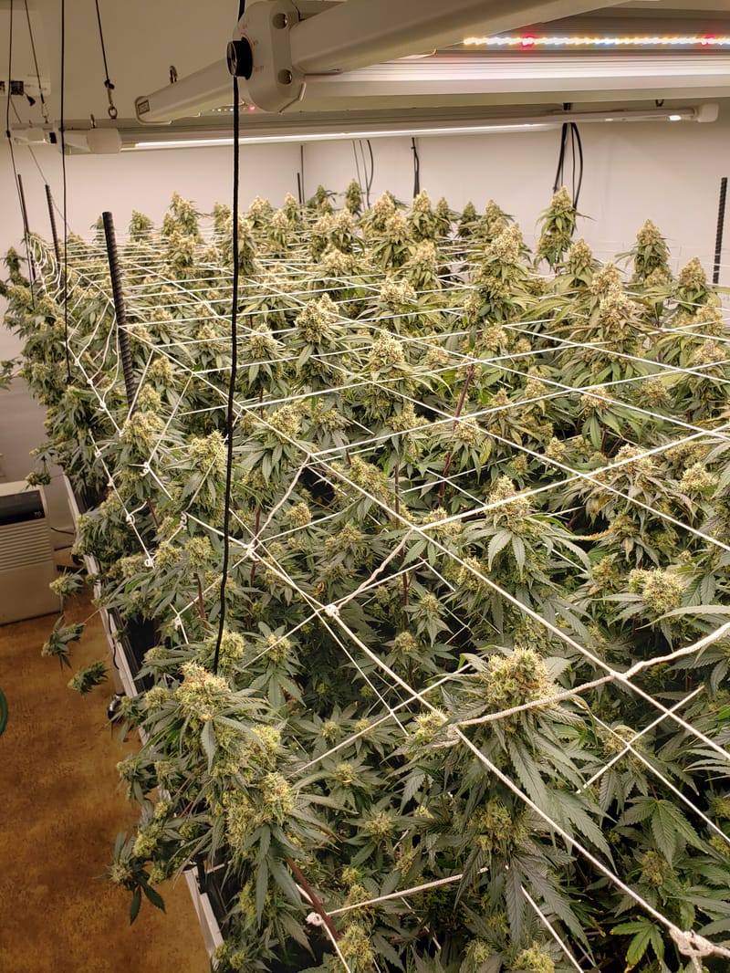 indoor