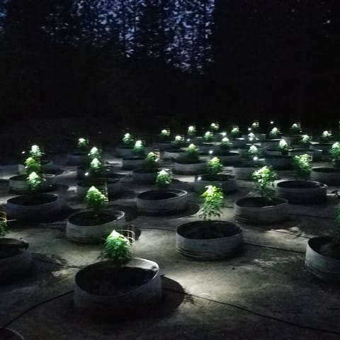 night vision