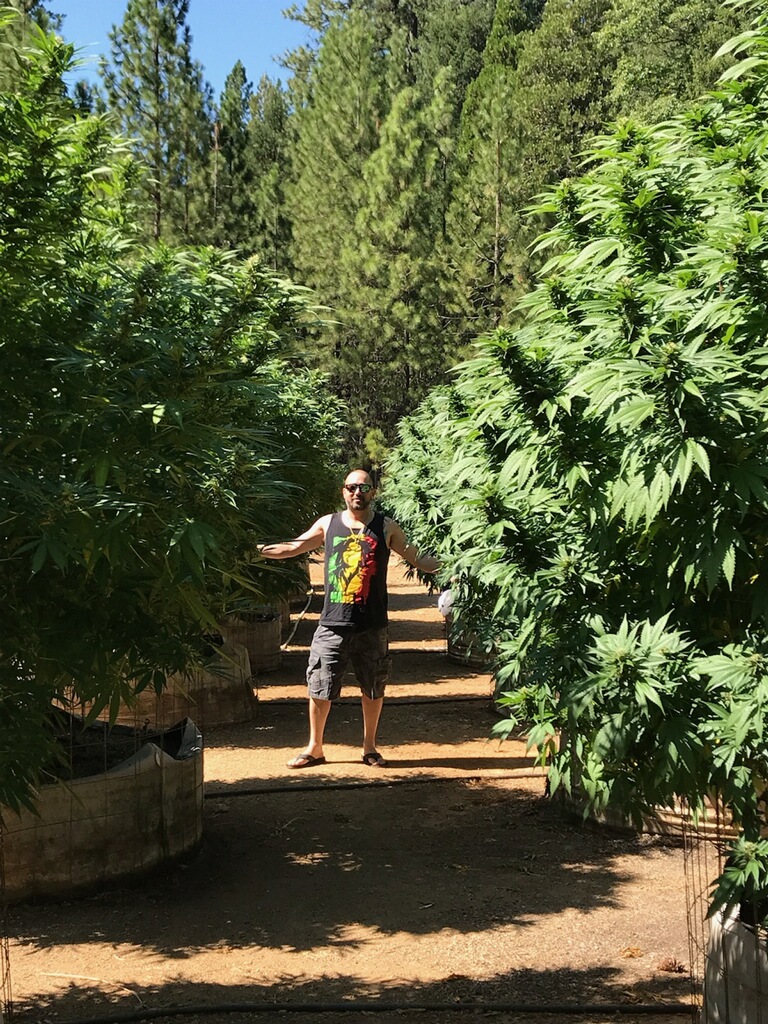 night vision — none, day 1