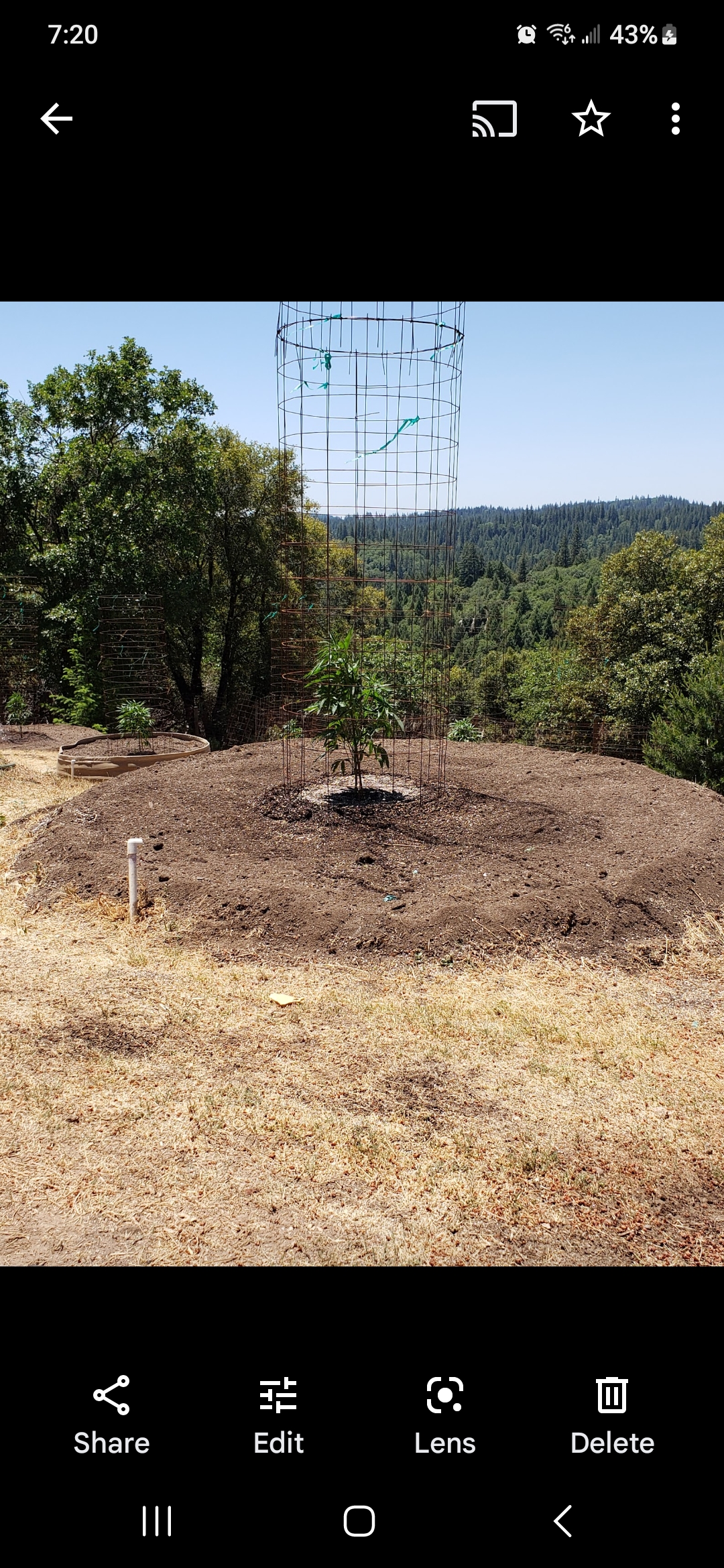 monsters — none, day 1