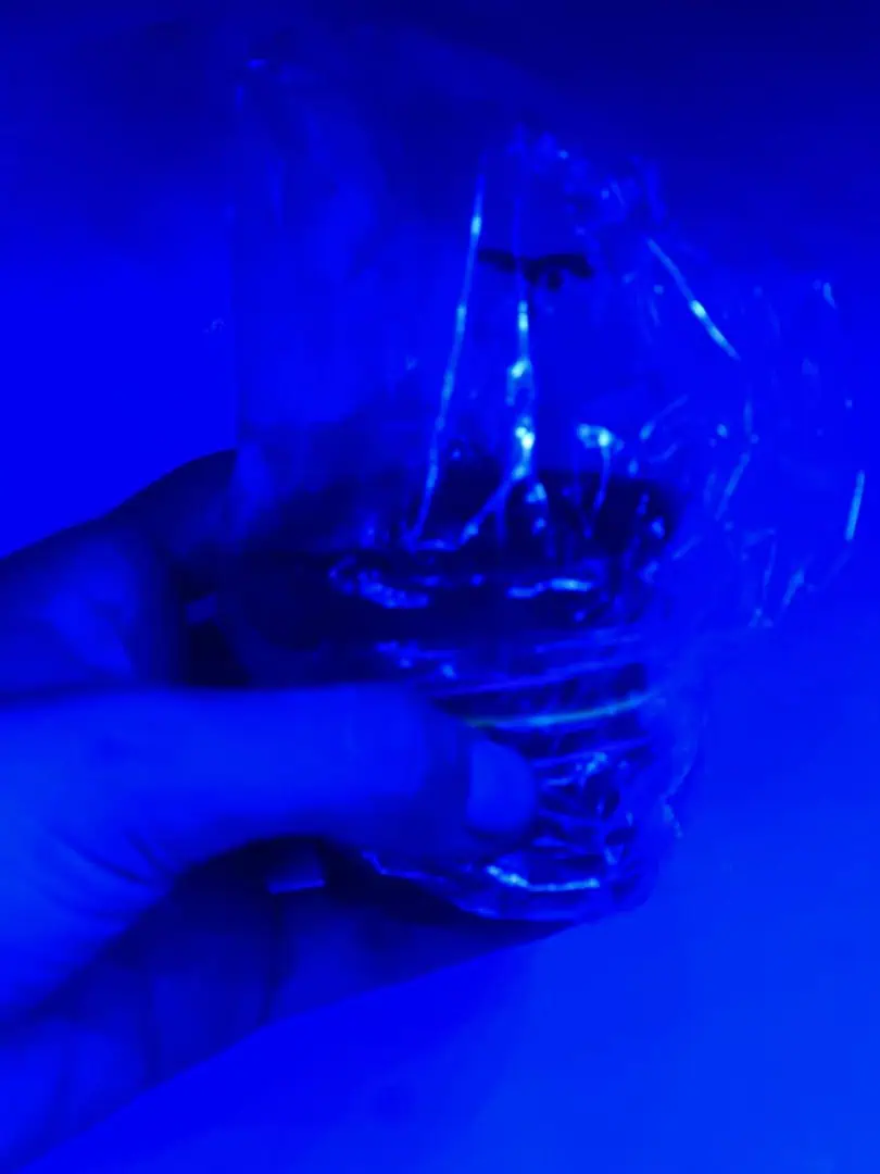 seedlings 🌱  — seedling_rooting, day 1