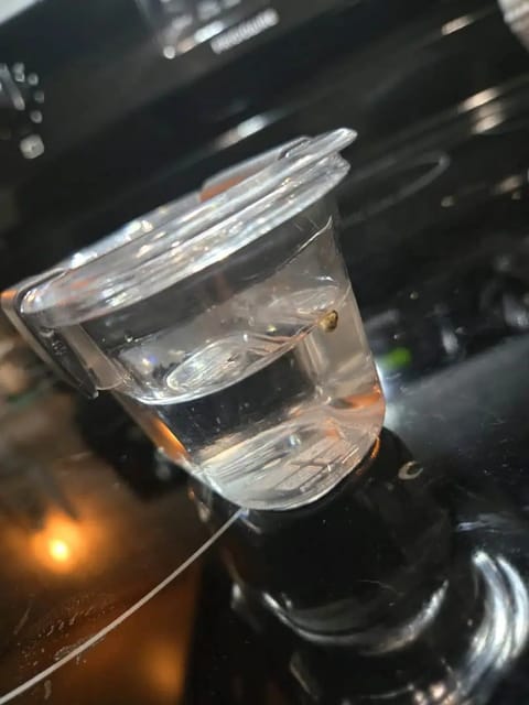 Trial Grow — grow_setup, day 1