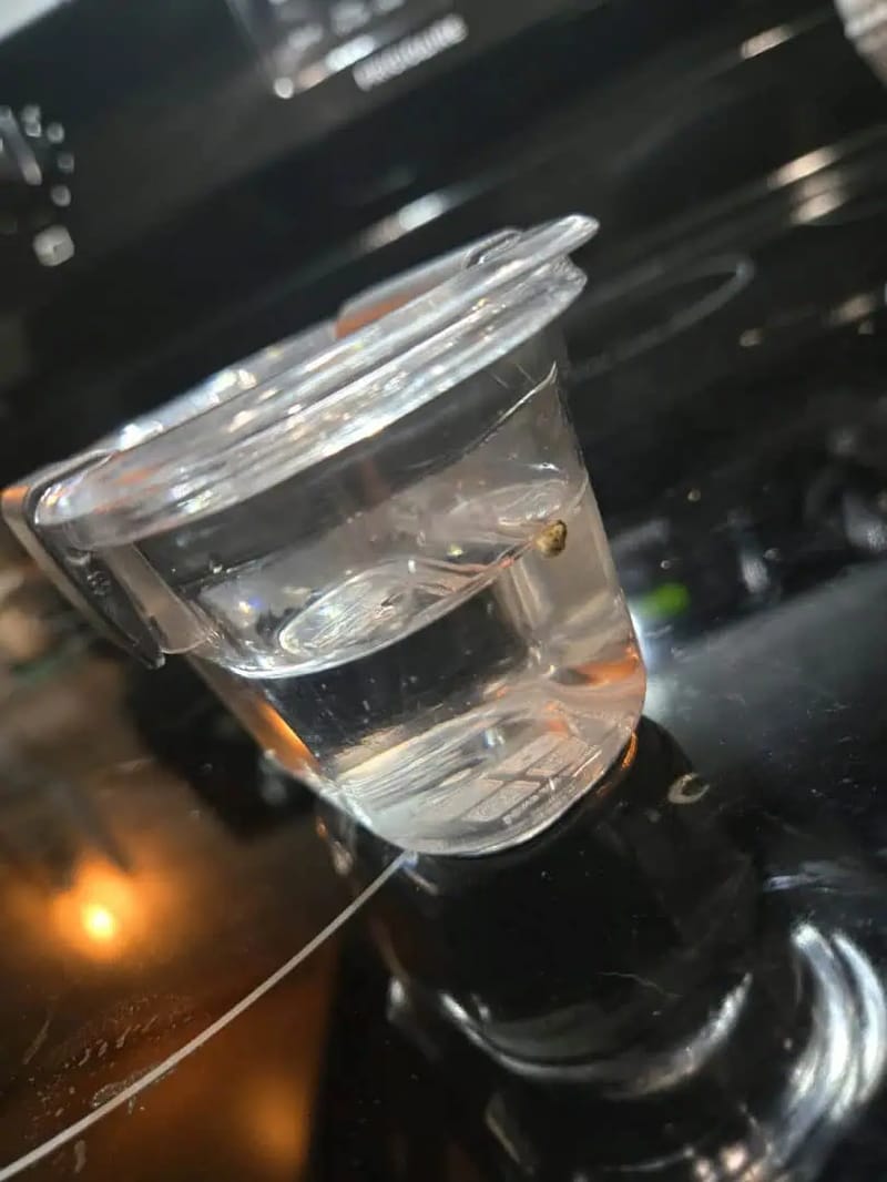 Trial Grow