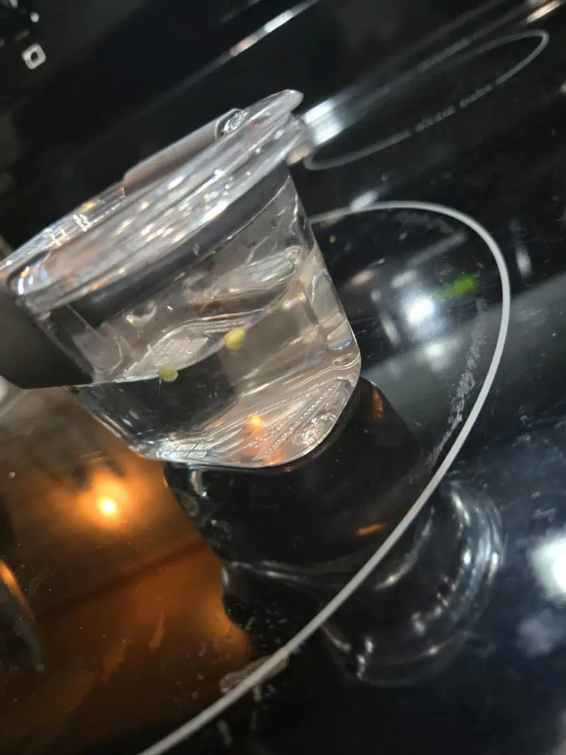 Trial Grow — grow_setup, day 1