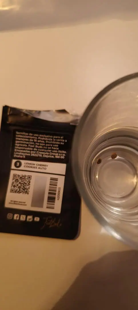 lemon Cherry cookies auto