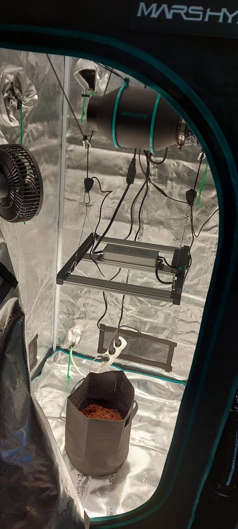 First Grow — grow_setup, day 1