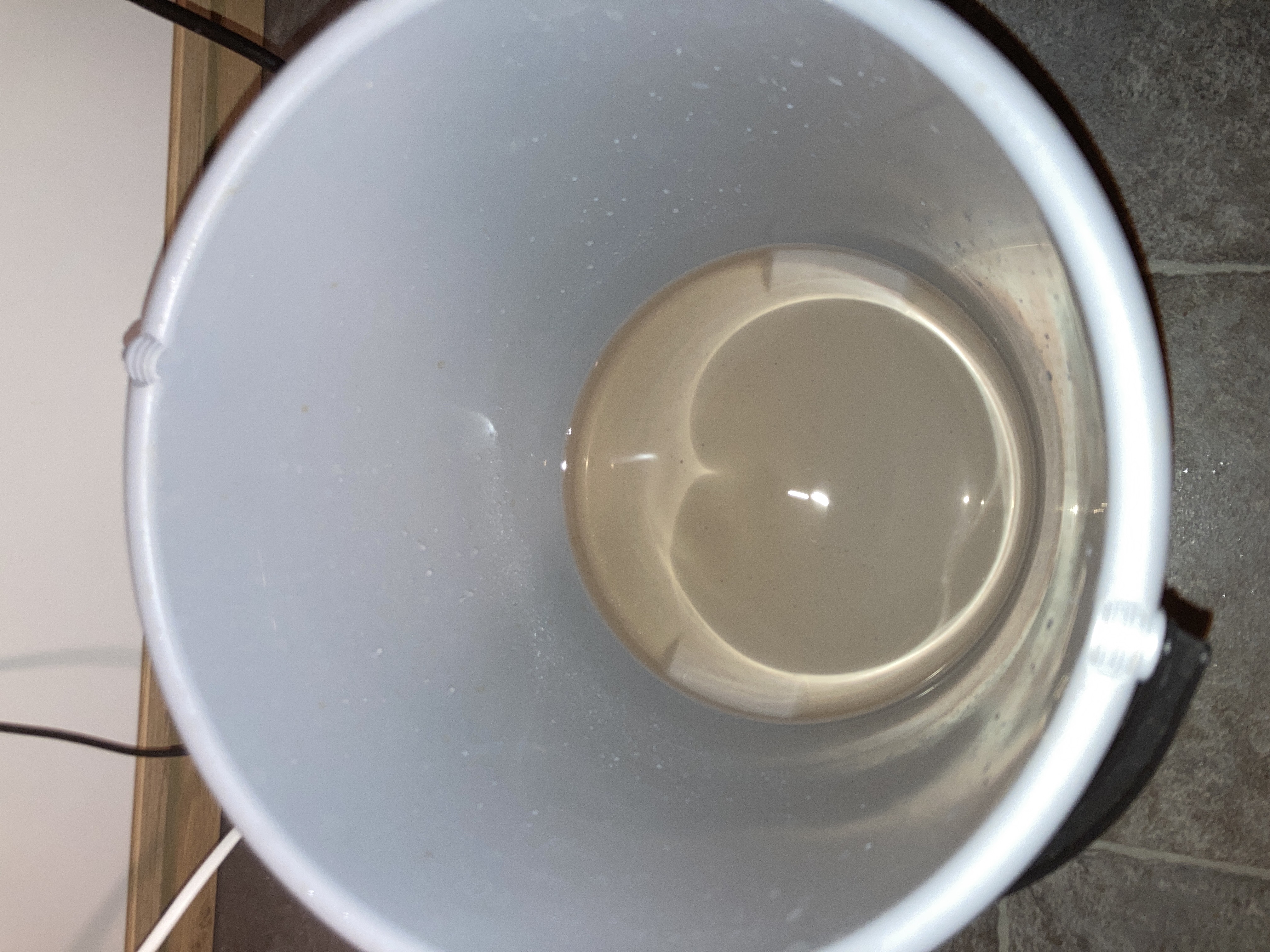 Closet Grow | 🍪GSC (auto)  — flower, day 53