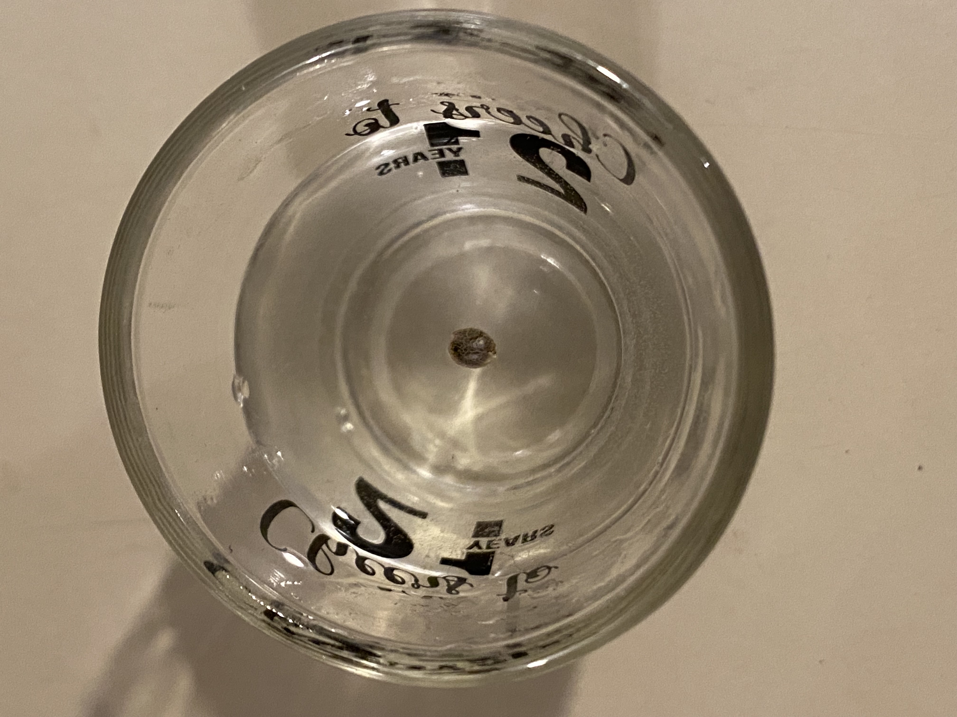 Red Mimosa XL(auto) — grow_setup, day 1