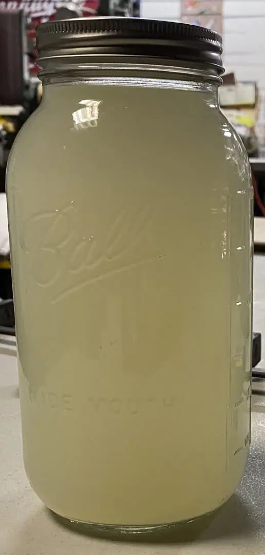 sherbanger — flower, day 38