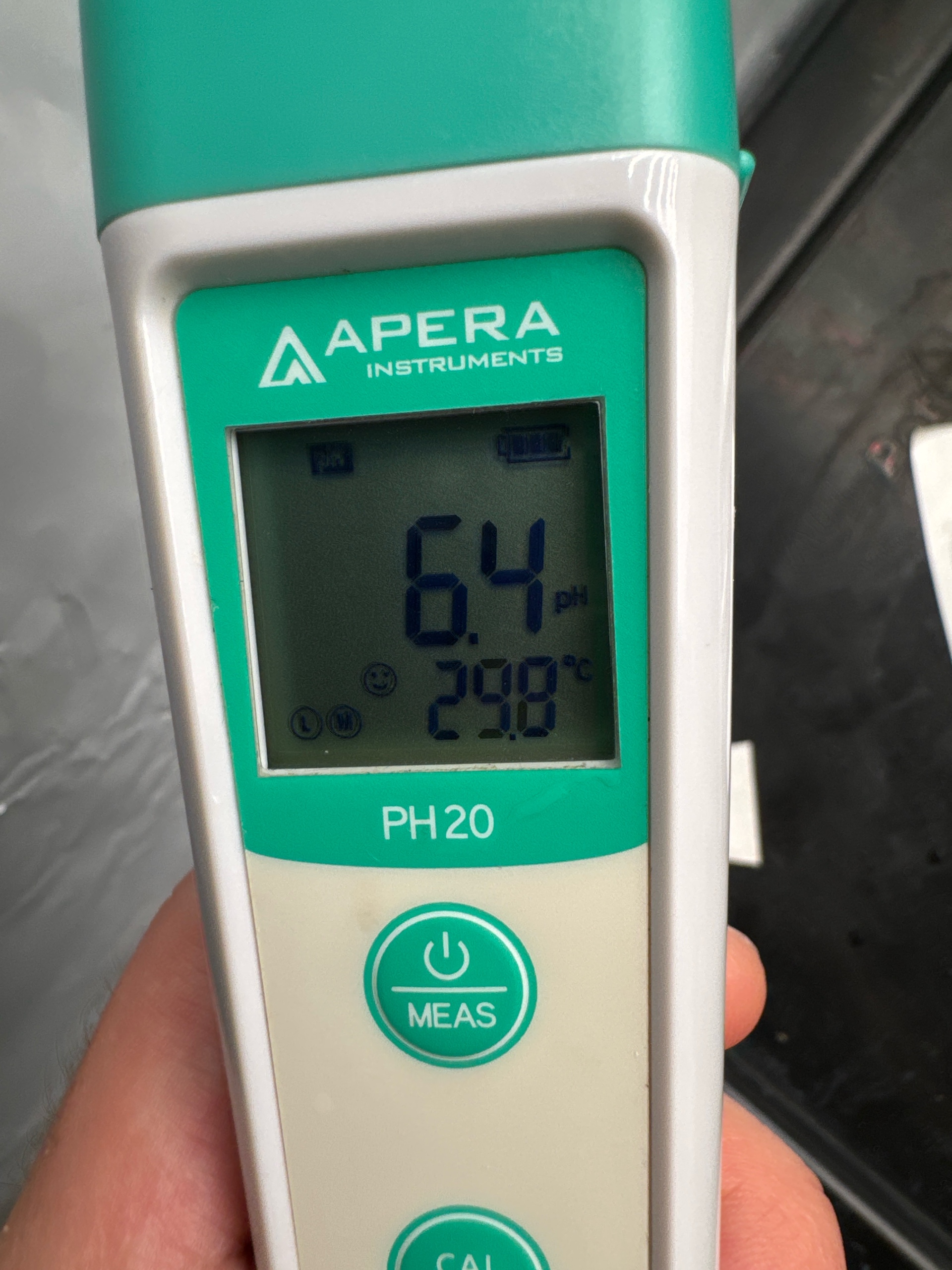 Permanent Marker, Gary Payton — flower, day 1