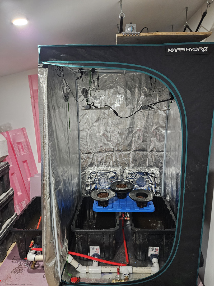 Grow #1 — grow_setup, day 1