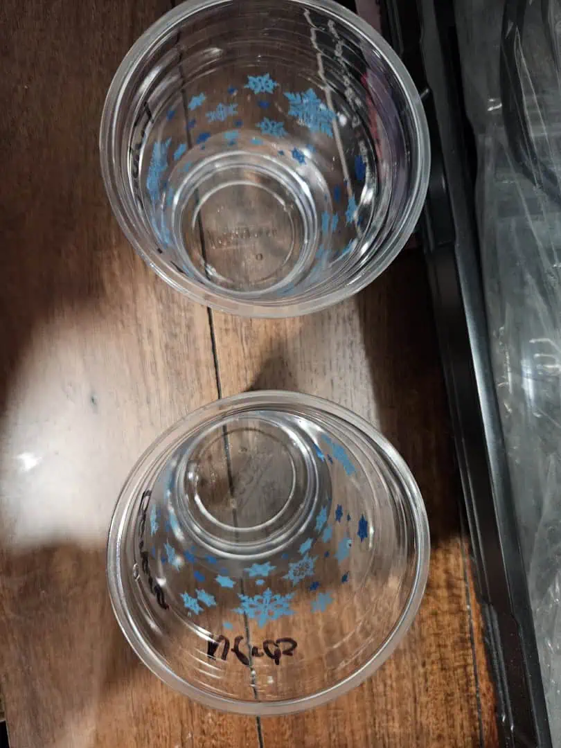 Grow #1 — germination, day 2